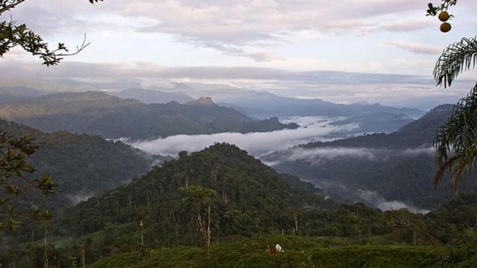 Trabajan en documental sobre la vida y cultura de las comunidades ngäbe buglés