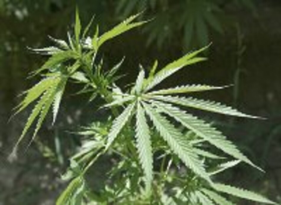 Mujer longeva fuma marihuana