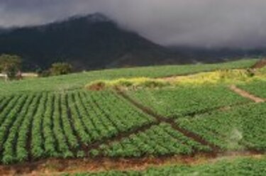 Agronoticias Las áreas pobres tienen los suelos menos productivos