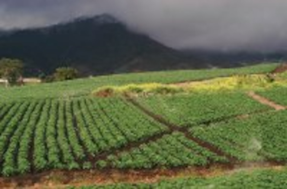 Agronoticias Las áreas pobres tienen los suelos menos productivos