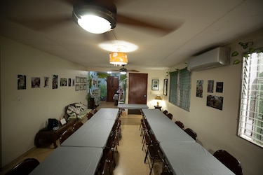 ‘No son mascotas’: Profesora Ileana Cotes, la encantadora de búhos