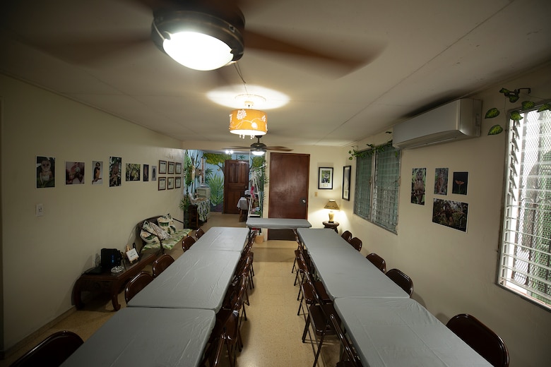 ‘No son mascotas’: Profesora Ileana Cotes, la encantadora de búhos