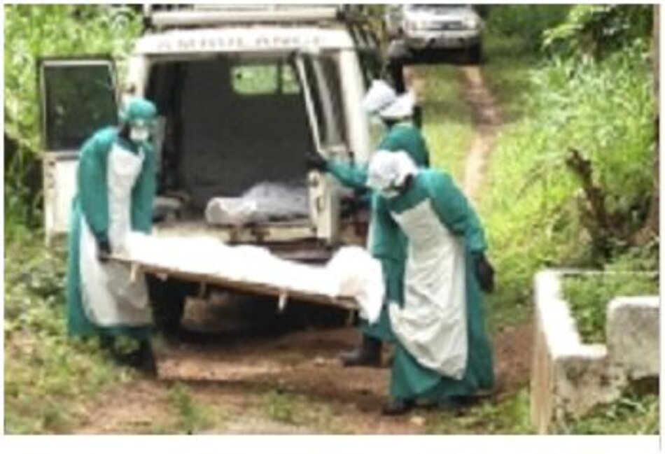 Número de muertos por el ébola supera los 500, según la OMS