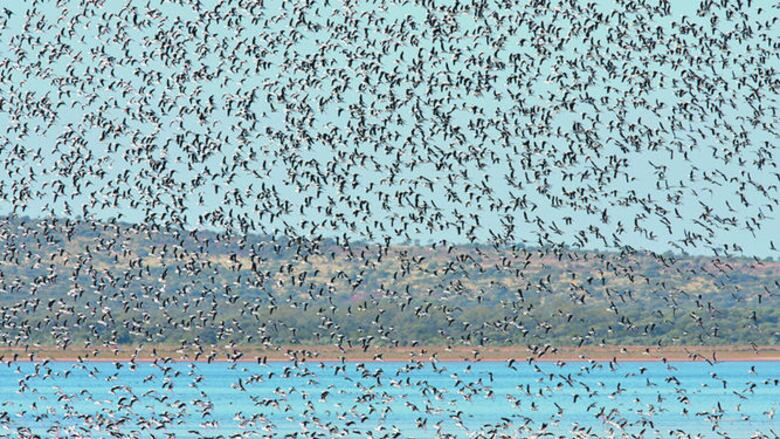 Lo que nos deja 2016 en ciencia