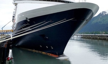Encuentran a ballena muerta en proa de barco en Alaska