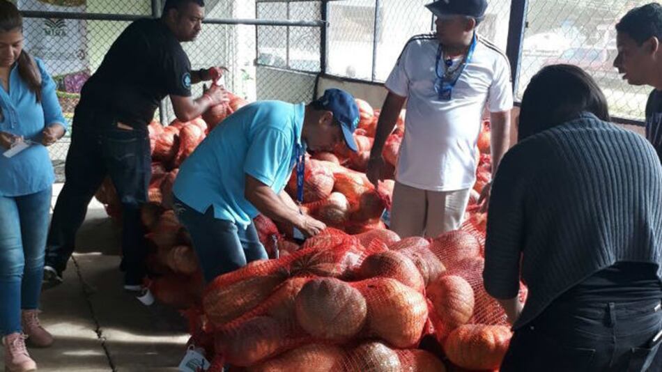 Exportan el primer grupo de zapallos bajo el sello 'Panamá Exporta'