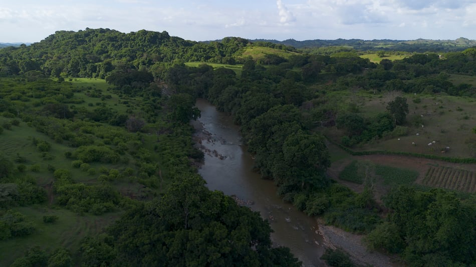 ¿Qué está pasando con el agua en Azuero? La ciencia tiene la respuesta  