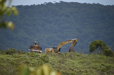 El Corredor del Caribe impacta 84 hectáreas, solo intervienen bosques secundarios: Rafael Sabonge
