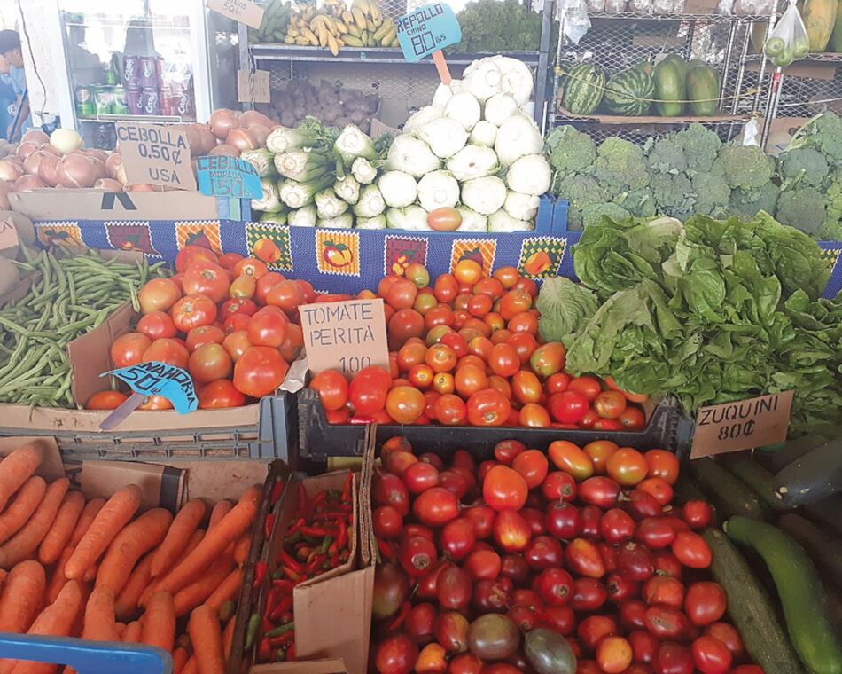 Sube el precio del tomate, alcanza $1.00 la libra en Merca Panamá