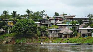 Carretera para fincas aceiteras