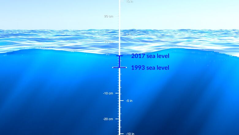 VIDEO: Así ha crecido el nivel del mar en los últimos 30 años