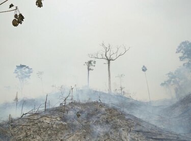 Las amenazas que sortea la selva del Darién
