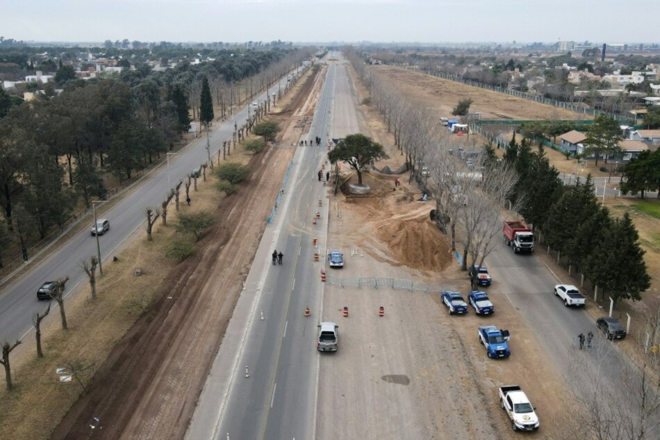 Traslado de un árbol de casi 300 años provoca protestas en Argentina