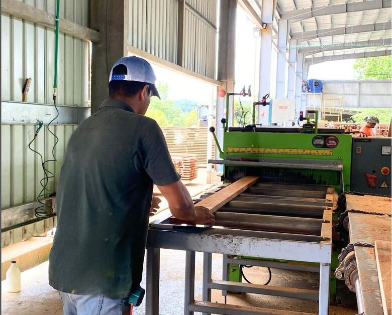 Panamá apunta a duplicar exportaciones de teca con sello sostenible