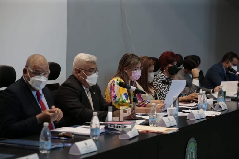 Diputados comienzan a discutir en primer debate las reformas electorales; TE pide que se apruebe antes de finalizar octubre