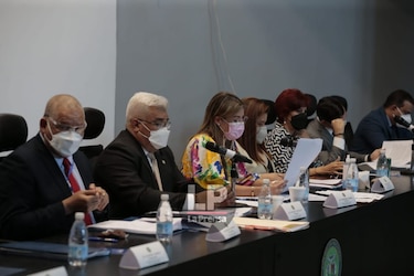 Diputados comienzan a discutir en primer debate las reformas electorales; TE pide que se apruebe antes de finalizar octubre