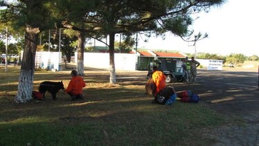 Autoridades y rescatistas holandeses con sus perros viajan a Alto Romero