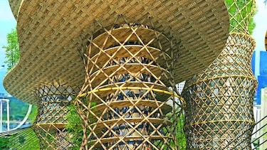 Futuro: edificios de bambú