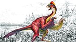 El ‘Top 10’ de nuevas especies