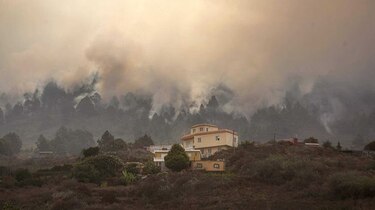 Incendio forestal en Canarias deja un muerto