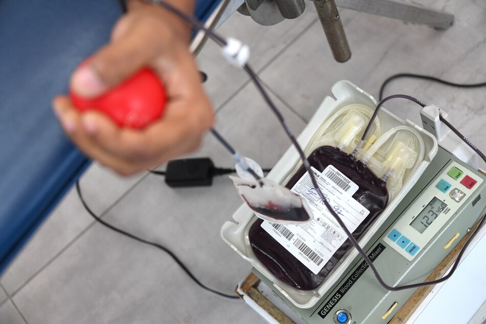 Sin discriminación: anteproyecto de ley busca permitir a homosexuales donar sangre