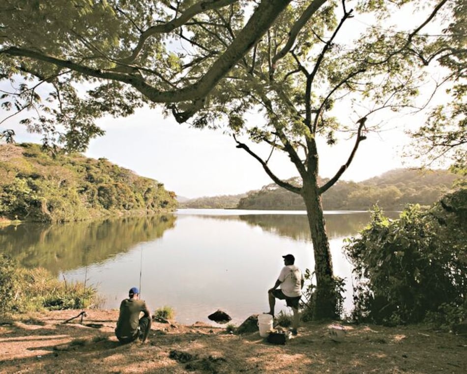 Regulan obras dentro de las áreas protegidas