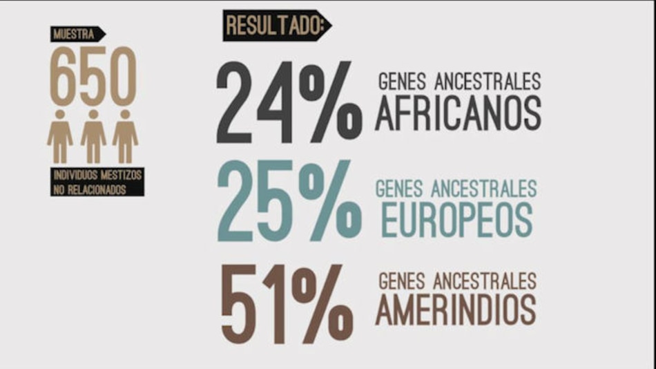 Estudio científico revela que el panameño mestizo promedio tiene 51% de genes indígenas, 25% europeos y 24% africanos