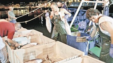 Derechos de pesca en acuerdo del ‘brexit’ inquieta a la UE