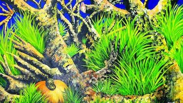 Obras en honor a la naturaleza