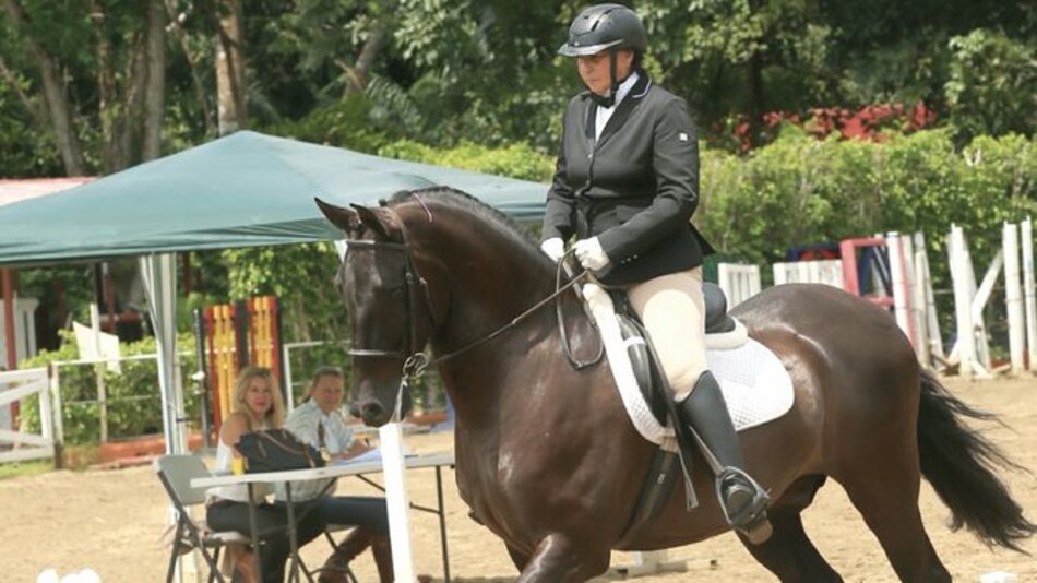 Elegancia y precisión