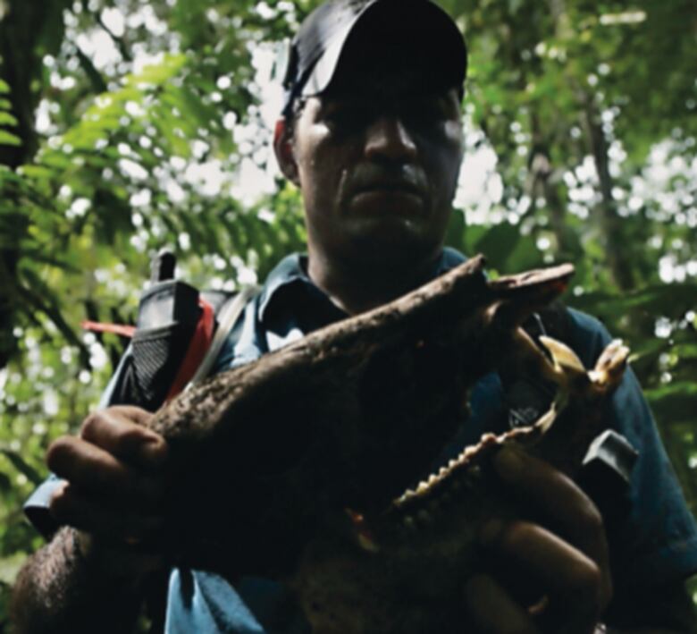 Las amenazas que sortea la selva del Darién