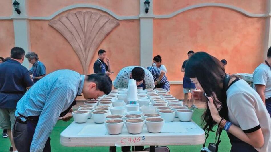 Geisha se acerca a la perfección