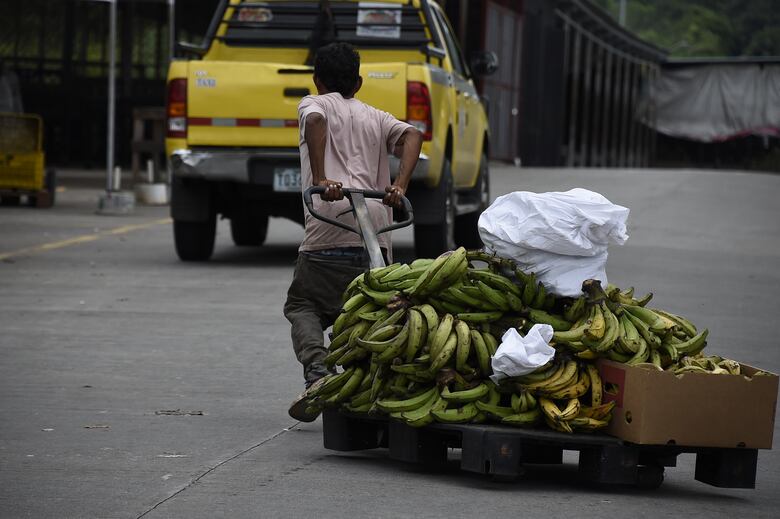 Estos son los alimentos que bajaron y subieron de precio, según Acodeco
