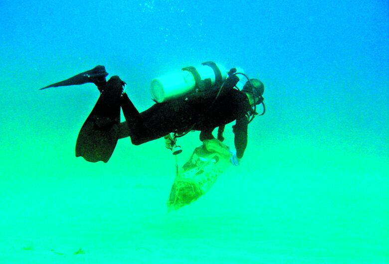 Limpieza en el fondo del mar