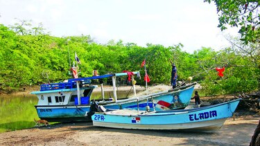 Jóvenes de Coclé se interesan en el mar