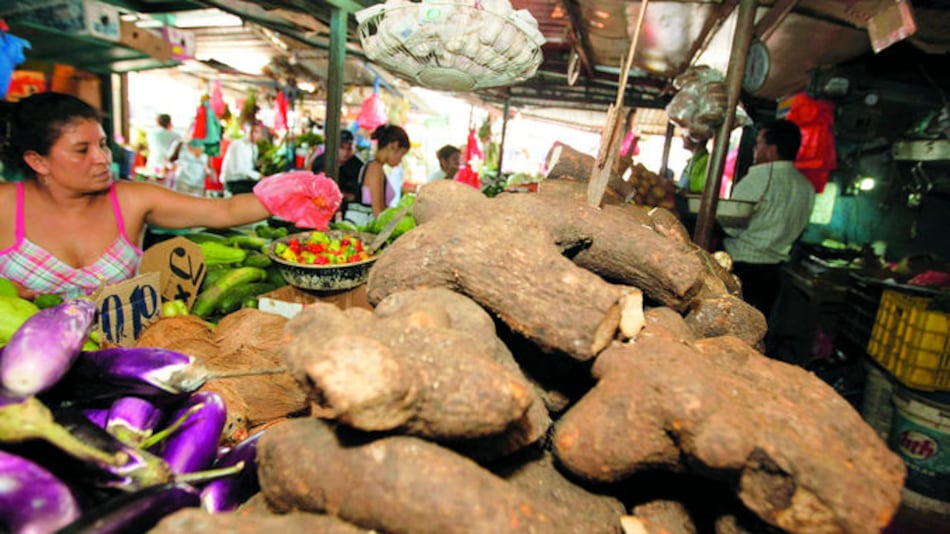 Al rescate del ñame baboso