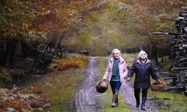 Panamá acoge la edición 23 del Tour de Cine Francés