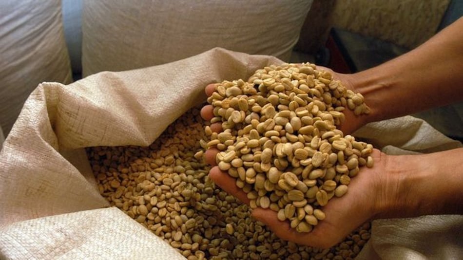 $212.2 millones aporta la industria del café a la economía panameña