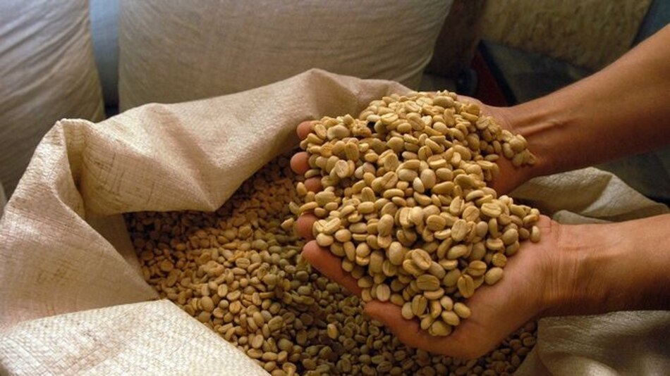 $212.2 millones aporta la industria del café a la economía panameña