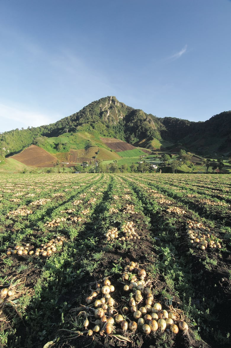 Todo Chiriquí en un libro