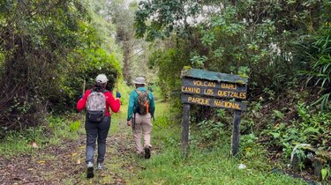 Suspenden acceso al sendero Los Quetzales tras colapso de varios árboles