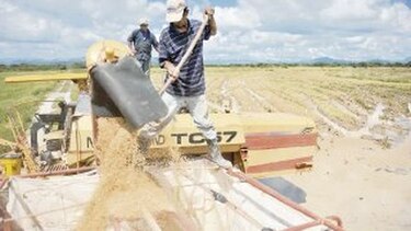 BDA destina $11.1 millones para arroz
