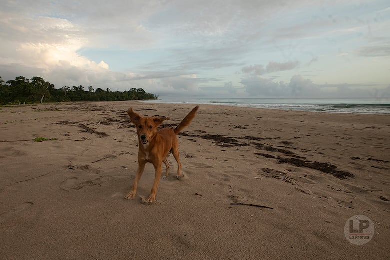 Río Caña sorprende con su gastronomía autóctona