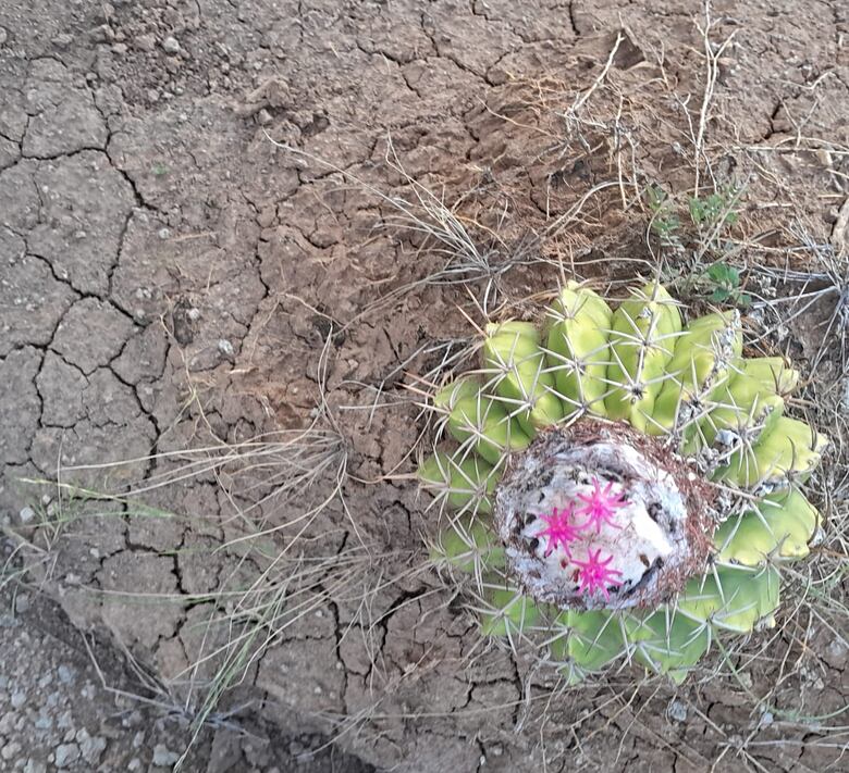 Macizo Colombiano: Un viaje entre paisajes imponentes, historia ancestral y cielos estrellados
