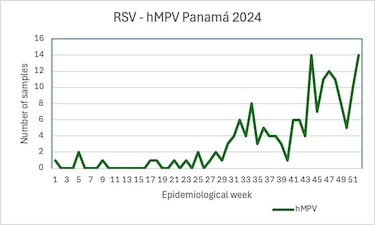 Metapneumovirus en China: el virus respiratorio que genera preocupación mundial