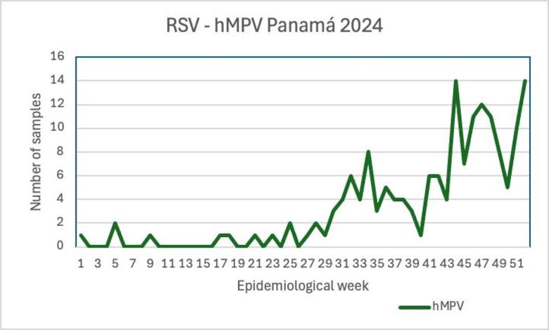 Metapneumovirus en China: el virus respiratorio que genera preocupación mundial