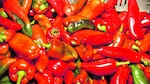 Claves en la cocina local