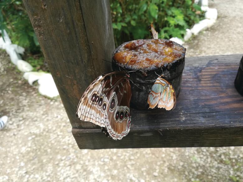 Cinco destinos ‘verdes’ cerca de la ciudad