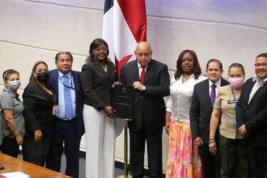 Diputados aprueban en tercer debate proyecto sobre la carrera legislativa para blindar a funcionarios