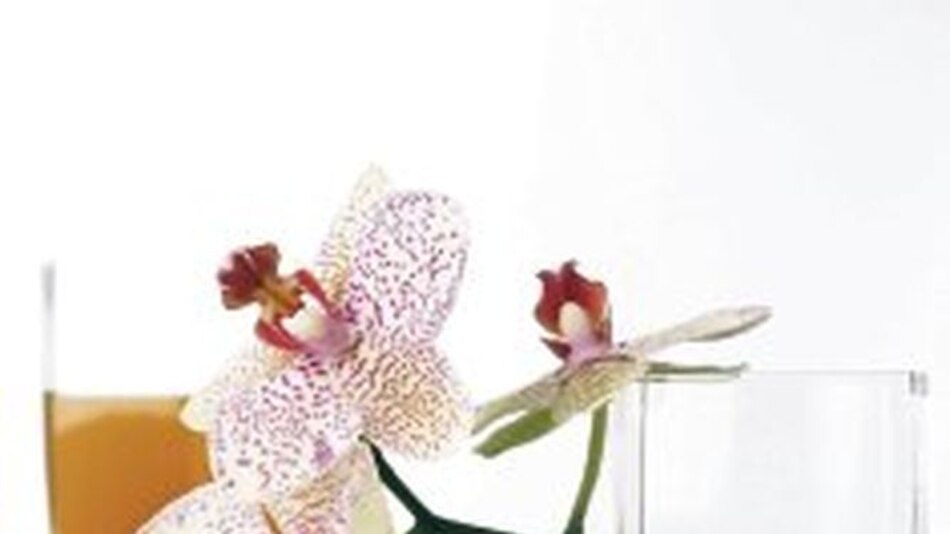 Una maravilla llamada saril